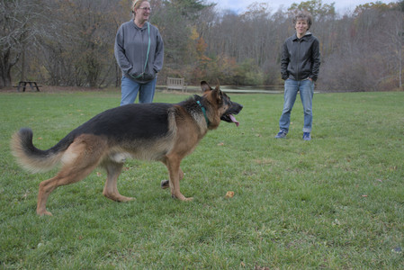 20251025_kitties and dog park with Imby__DSC0142_.jpg