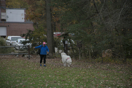 20251025_kitties and dog park with Imby__DSC0145_.jpg