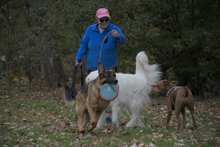 20251025_kitties and dog park with Imby__DSC0149_.jpg
