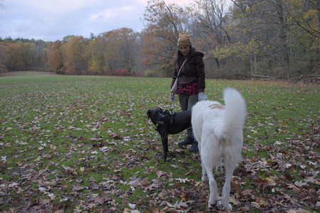 20251031_Cats and then dog park__DSC0030_.jpg