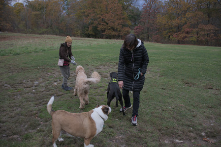 20251031_Cats and then dog park__DSC0059_.jpg
