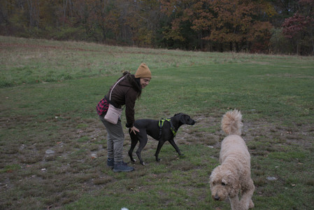 20251031_Cats and then dog park__DSC0060_.jpg