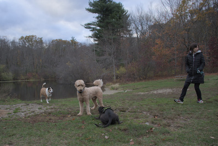 20251031_Cats and then dog park__DSC0062_.jpg