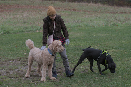 20251031_Cats and then dog park__DSC0076_.jpg