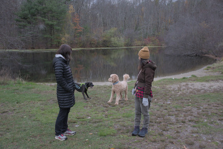 20251031_Cats and then dog park__DSC0077_.jpg