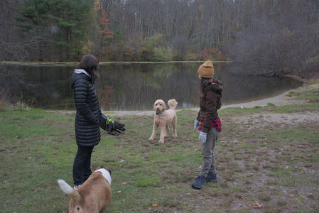 20251031_Cats and then dog park__DSC0078_.jpg