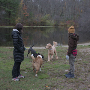 20251031_Cats and then dog park__DSC0079_.jpg