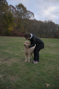 20251031_Cats and then dog park__DSC0133_.jpg