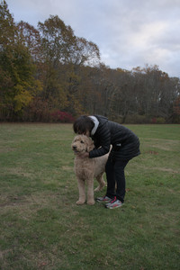 20251031_Cats and then dog park__DSC0134_.jpg