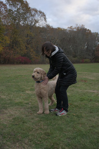 20251031_Cats and then dog park__DSC0135_.jpg