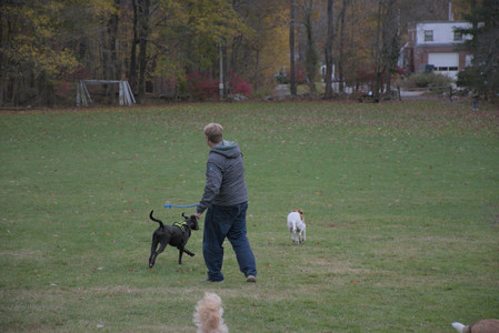 20251031_Cats and then dog park__DSC0136_.jpg