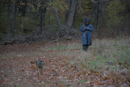 20251031_Cats and then dog park__DSC0137_.jpg