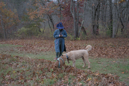 20251031_Cats and then dog park__DSC0144_.jpg