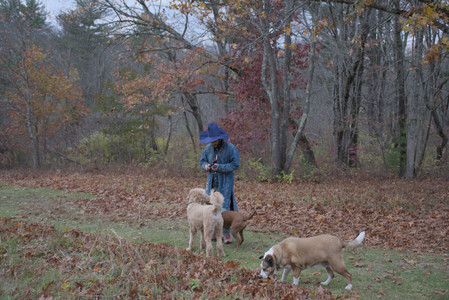 20251031_Cats and then dog park__DSC0145_.jpg