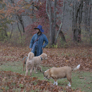 20251031_Cats and then dog park__DSC0146_.jpg