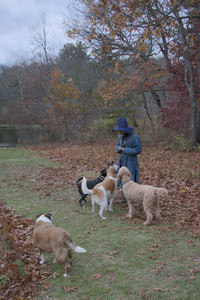 20251031_Cats and then dog park__DSC0149_.jpg