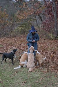 20251031_Cats and then dog park__DSC0152_.jpg