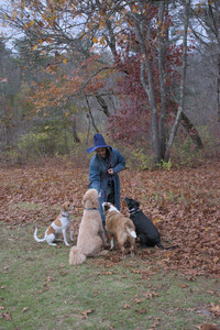 20251031_Cats and then dog park__DSC0154_.jpg