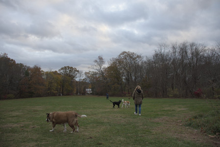 20251031_Cats and then dog park__DSC0158_.jpg