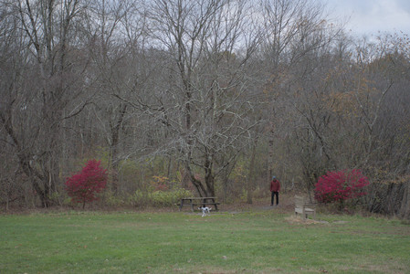 20251031_Cats and then dog park__DSC0159_.jpg