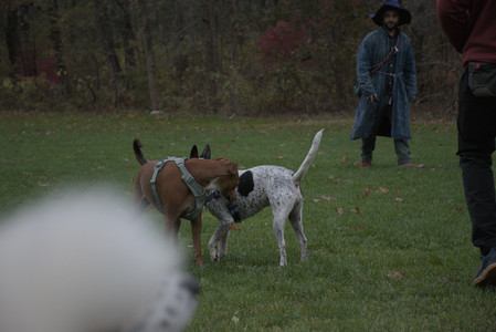 20251031_Cats and then dog park__DSC0165_.jpg