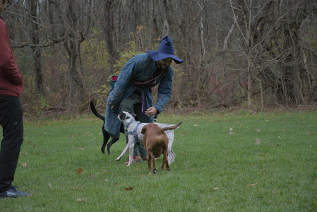 20251031_Cats and then dog park__DSC0170_.jpg