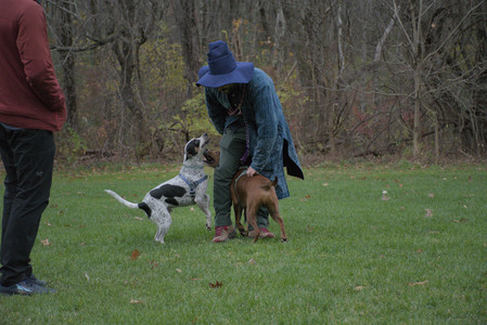 20251031_Cats and then dog park__DSC0171_.jpg