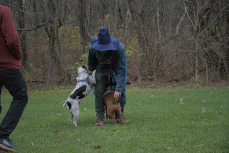 20251031_Cats and then dog park__DSC0172_.jpg