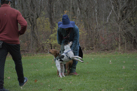 20251031_Cats and then dog park__DSC0173_.jpg