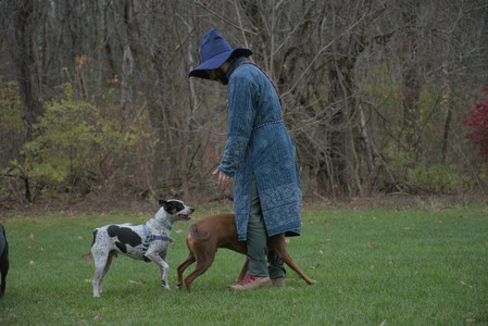 20251031_Cats and then dog park__DSC0175_.jpg