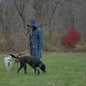 20251031_Cats and then dog park__DSC0177_.jpg