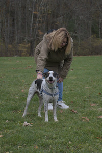 20251031_Cats and then dog park__DSC0188_.jpg