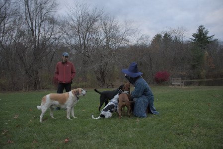 20251031_Cats and then dog park__DSC0200_.jpg