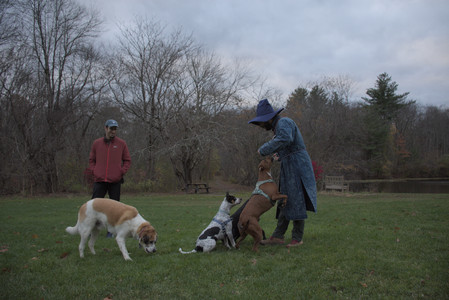 20251031_Cats and then dog park__DSC0202_.jpg