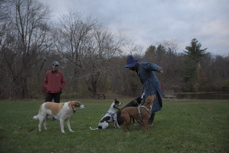 20251031_Cats and then dog park__DSC0203_.jpg