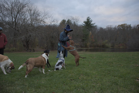 20251031_Cats and then dog park__DSC0204_.jpg