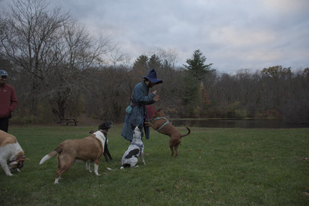 20251031_Cats and then dog park__DSC0205_.jpg