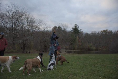 20251031_Cats and then dog park__DSC0207_.jpg