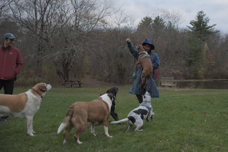 20251031_Cats and then dog park__DSC0208_.jpg