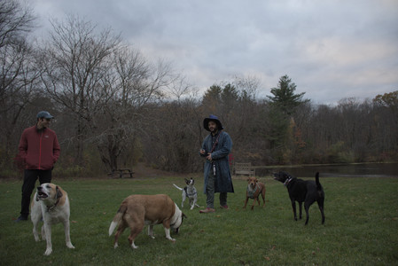 20251031_Cats and then dog park__DSC0209_.jpg