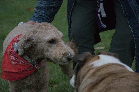 20251031_Cats and then dog park__DSC0257_.jpg