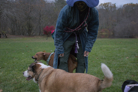 20251031_Cats and then dog park__DSC0260_.jpg