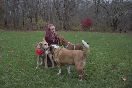 20251031_Cats and then dog park__DSC0262_.jpg