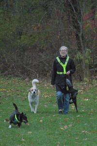 20251031_Cats and then dog park__DSC0278_.jpg