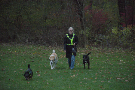 20251031_Cats and then dog park__DSC0279_.jpg
