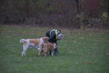 20251031_Cats and then dog park__DSC0280_.jpg