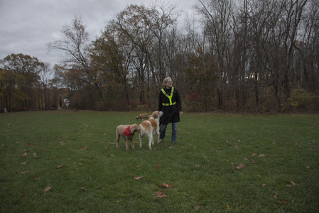 20251031_Cats and then dog park__DSC0281_.jpg