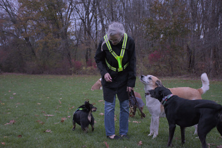 20251031_Cats and then dog park__DSC0284_.jpg