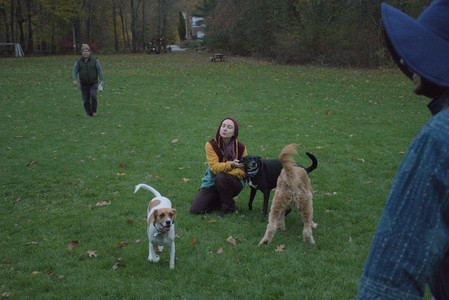 20251031_Cats and then dog park__DSC0290_.jpg