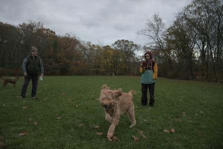 20251031_Cats and then dog park__DSC0293_.jpg